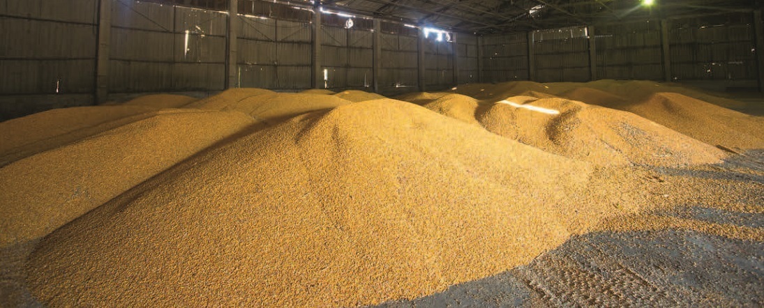 вологість зерна для ефективного зберігання врожаю в зерносховищі