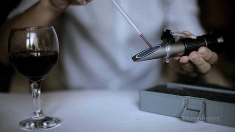 Анализ вина рефрактометром